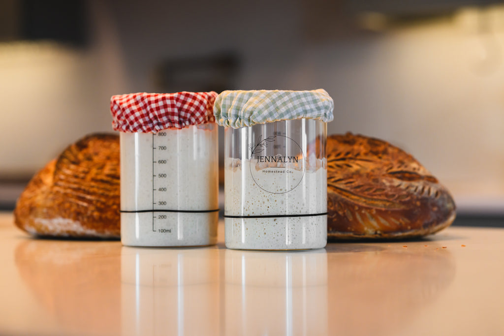 2 Pack Starter Jar Kit Bundle