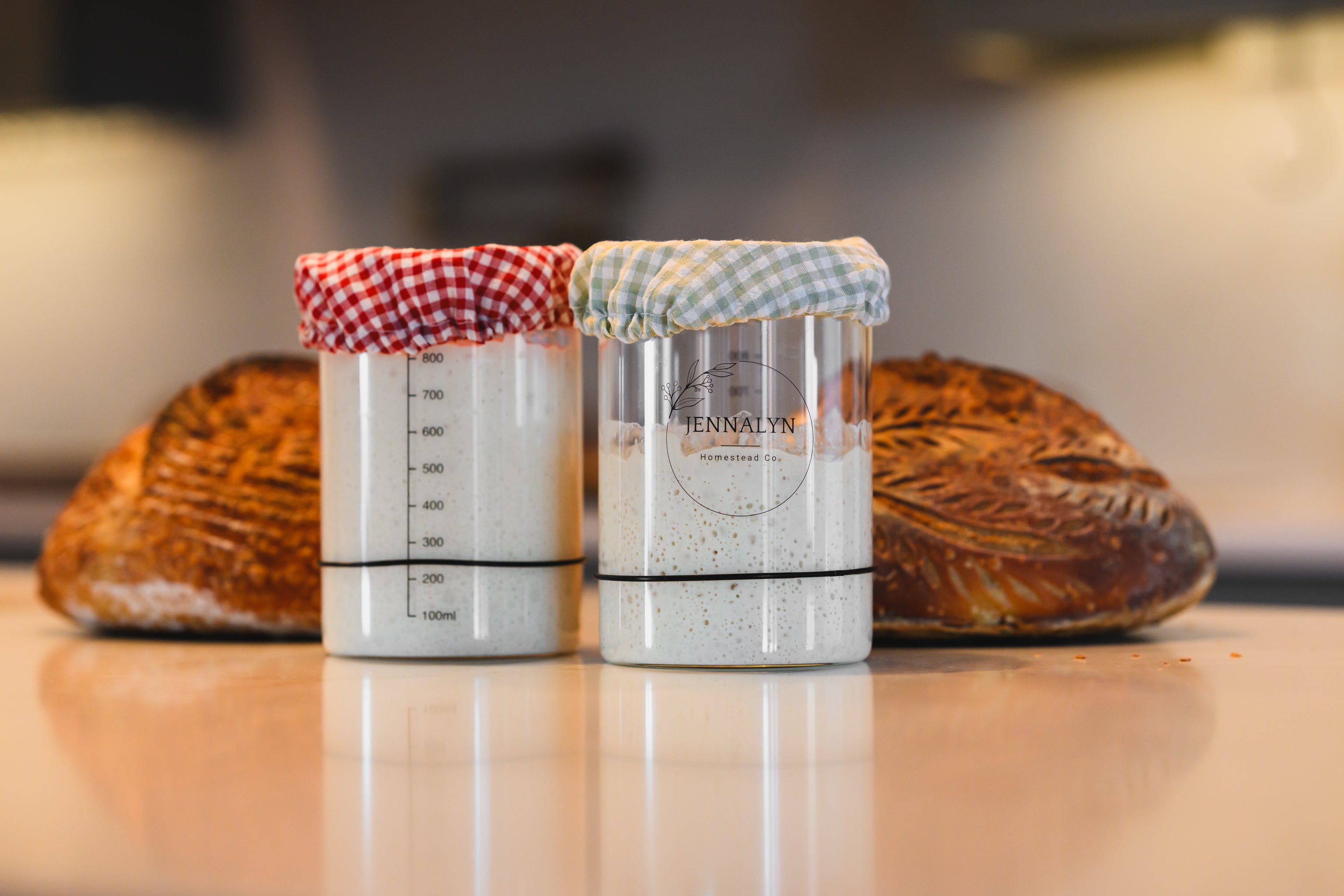 2 Pack Starter Jar Kit Bundle