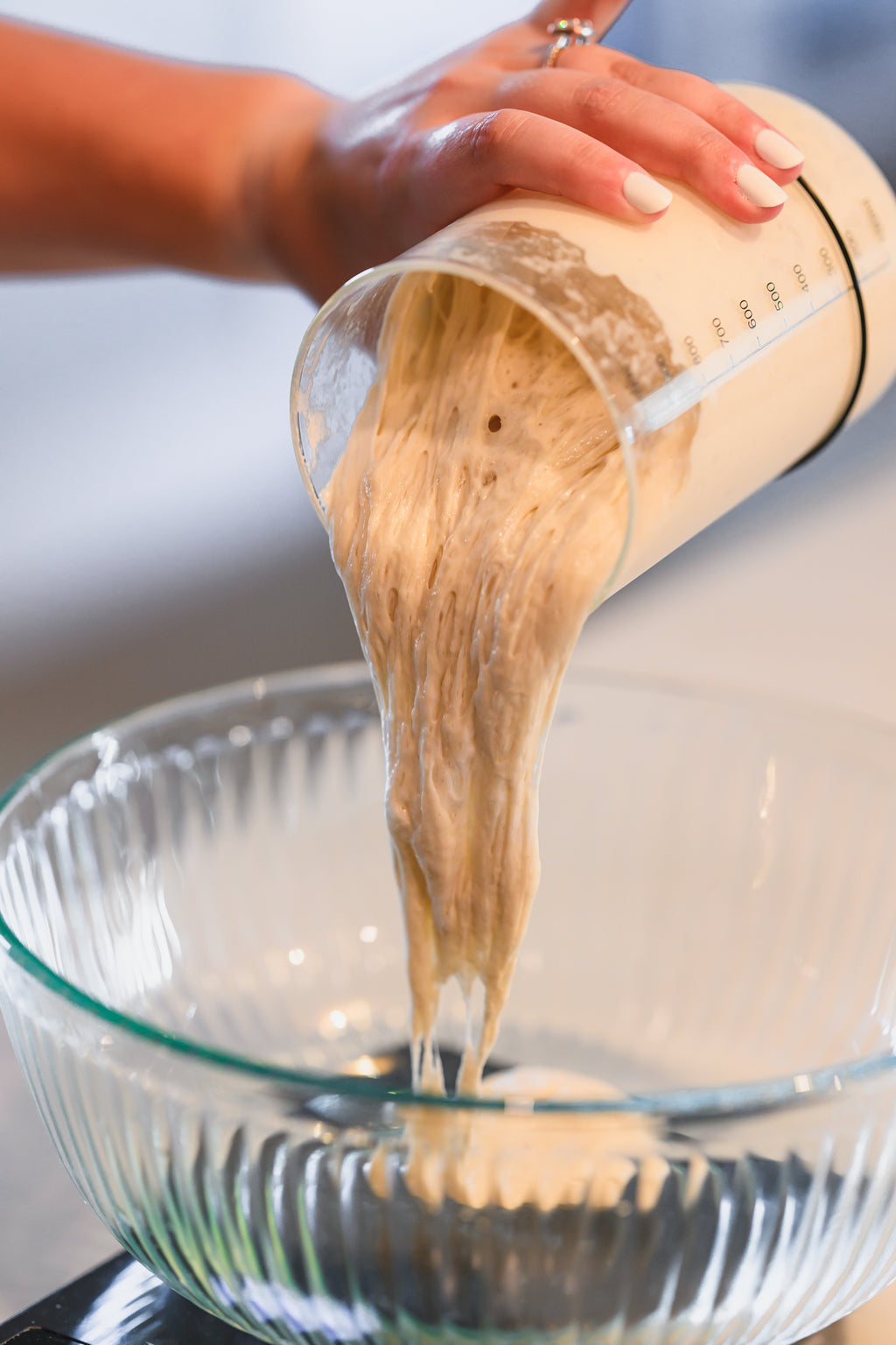 Jennalyn Dehydrated Sourdough Starter