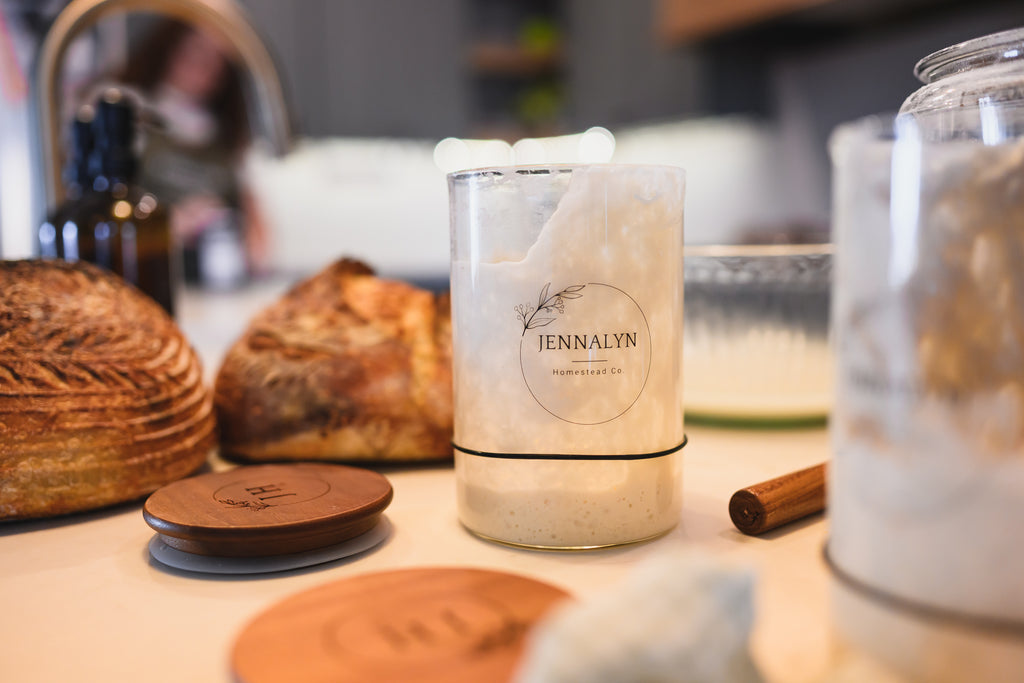 Freeze-Dried Sourdough Starter