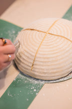 Freeze-Dried Sourdough Starter