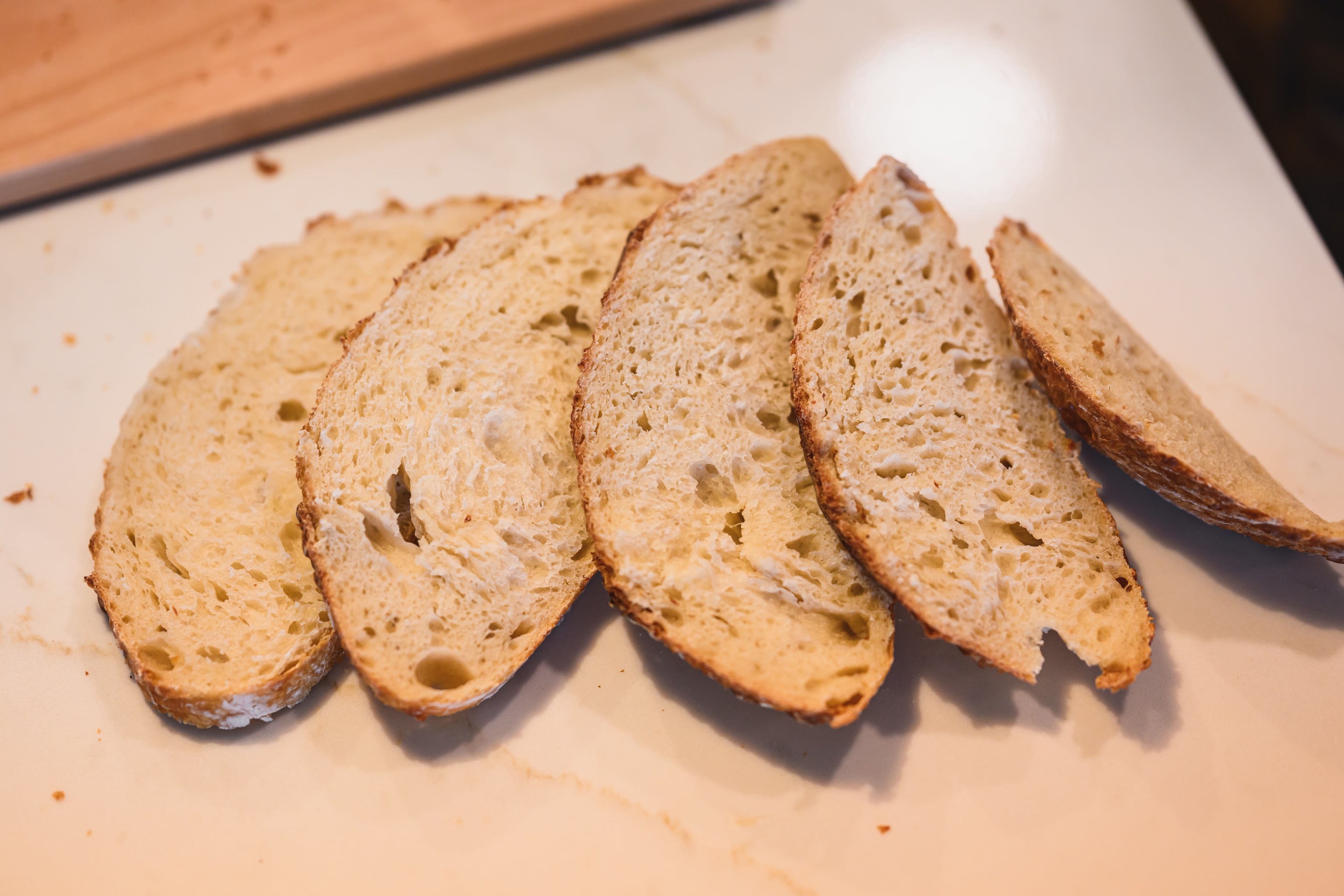 Freeze-Dried Sourdough Starter